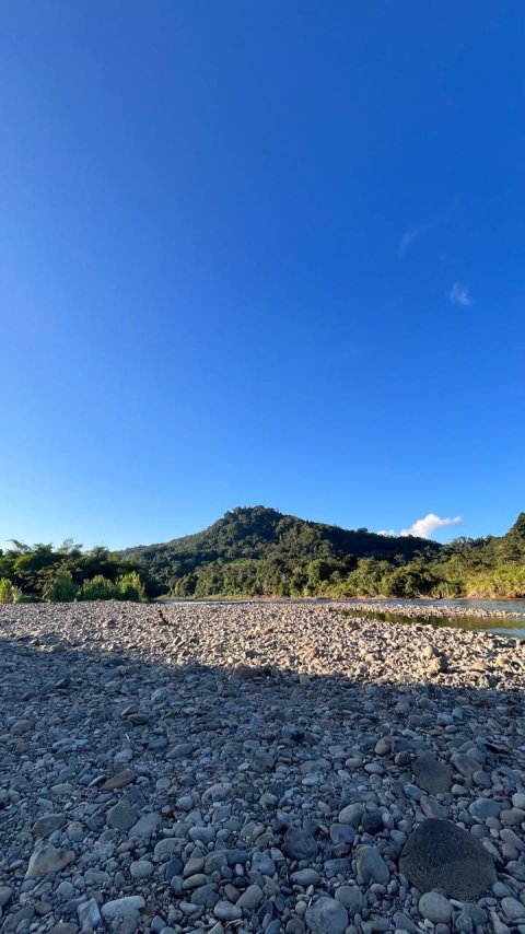 Tepian sungai Kayan : tempat yang cocok untuk meng